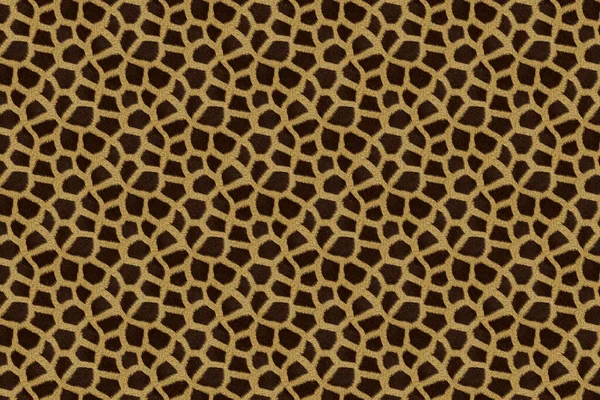 Piel Animal Africana Patrón Superficie Textura —  Fotos de Stock