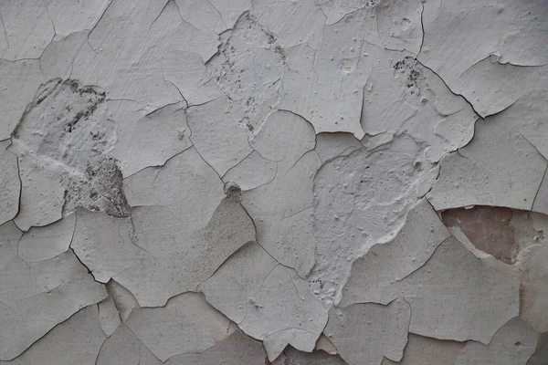 stock image stone plaster motar cement wall background surface backdrop