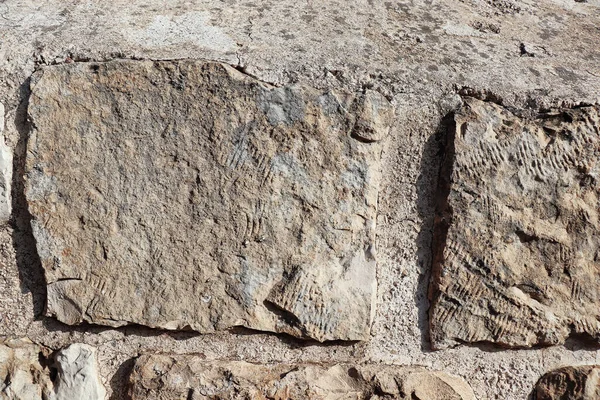 Kamień Cegły Płytki Ścienne Tekstury Powierzchni Tła — Zdjęcie stockowe