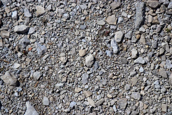 Latar Belakang Permukaan Latar Belakang Dinding Batu — Stok Foto