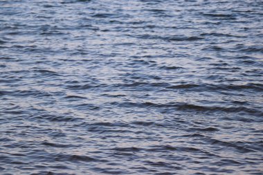 arkaplan örtüsü arkaplan örtüsü