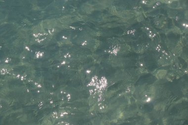 arkaplan örtüsü arkaplan örtüsü