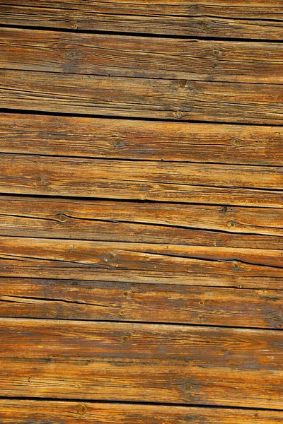 Wood Tree Timber Background Texture Structure Backdrop — Stock Photo, Image