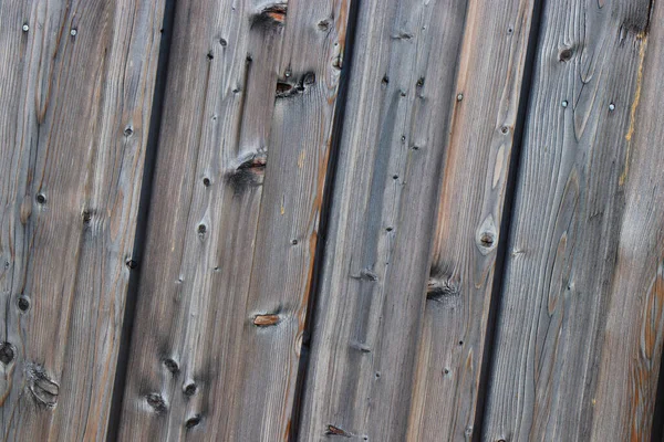 Holz Baum Holz Hintergrund Textur Struktur Hintergrund — Stockfoto