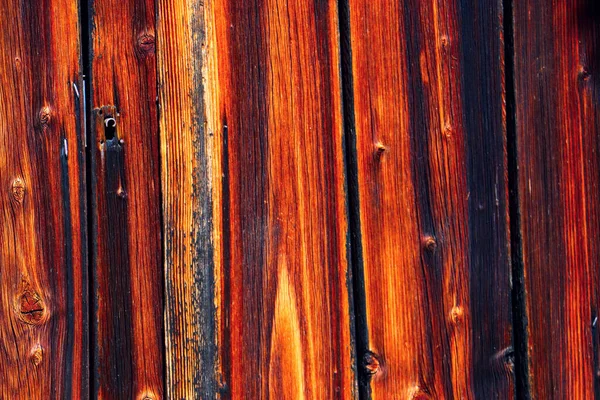 木材树背景纹理结构背景 — 图库照片