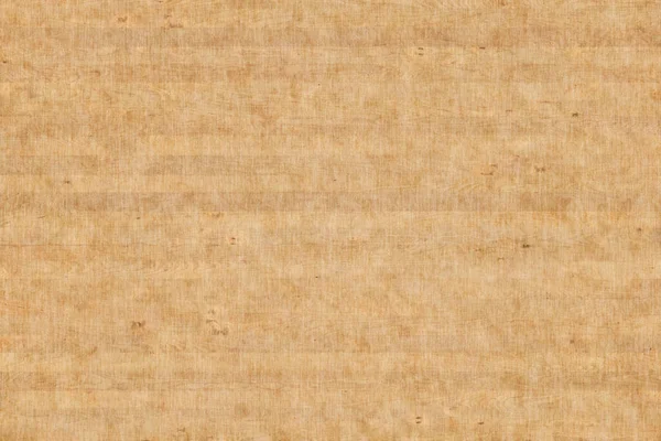 Berkenhout Achtergrond Textuur Oppervlak Achtergrond — Stockfoto