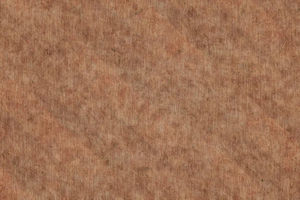 Berkenhout Achtergrond Textuur Oppervlak Achtergrond — Stockfoto