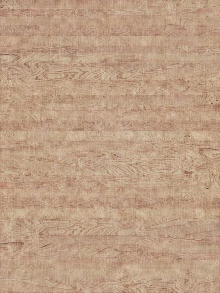 stock image birch wood timber background texture surface backdrop