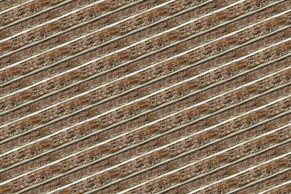 Wood Tree Timber Texture Pattern Backdrop — Stock Photo, Image
