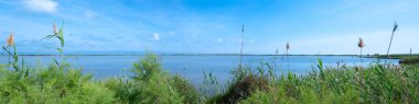 Panoramic view of the Ebro river in Garxal, Ebro Delta, Catalonia. Spain