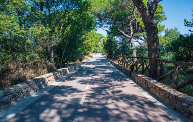 Yürüyüşçüler ve bisikletçiler için doğanın ortasında bir yol