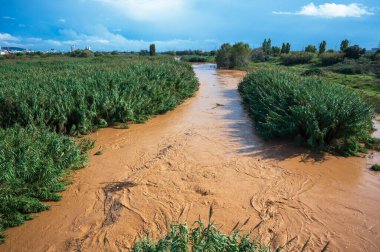 Nehir kıyılarından taşar ve çevredeki bitki örtüsünü çamurlu suyla doldurur.