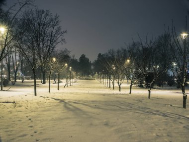 Gece parkındaki karlı yollarda kışın fenerler. Geceleri kış mevsiminde parktaki banklar. Geceleri fenerlerle dolu bir parkın aydınlanması. Ağaçlarda kar. Park Kyoto.Kyiv