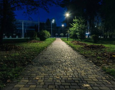 Sonbaharda fenerli, gece parkında sarı yapraklı, kuyruklu çimenler. Sonbahar sezonu boyunca parktaki banklar. Geceleri fenerlerle dolu bir parkın aydınlanması. Park Kyoto