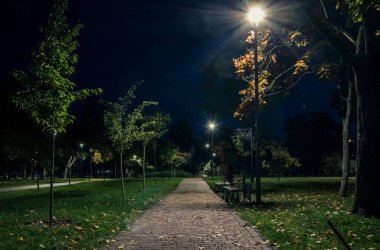 Sonbaharda fenerli, gece parkında sarı yapraklı, kuyruklu çimenler. Sonbahar sezonu boyunca parktaki banklar. Geceleri fenerlerle dolu bir parkın aydınlanması. Park Kyoto
