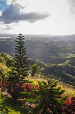 Haiti adasının yeşil dağları ve vadileri. Mavi dağlar, yeşil vadi. Yaz günü Haiti dağlarının panoramik manzarası. Turizm ve seyahat konsepti. Doğal yeşil orman arka plan panoraması.