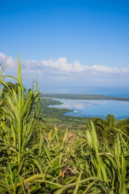 Haiti adasındaki Atlantik Okyanusu kıyısı manzarası. Yeşil kıyı şeridi okyanusa dönüşür