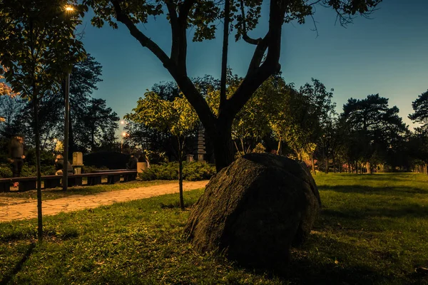 Die Schmale Straße Mit Den Gelben Blättern Abendpark Mit Laternen — Stockfoto