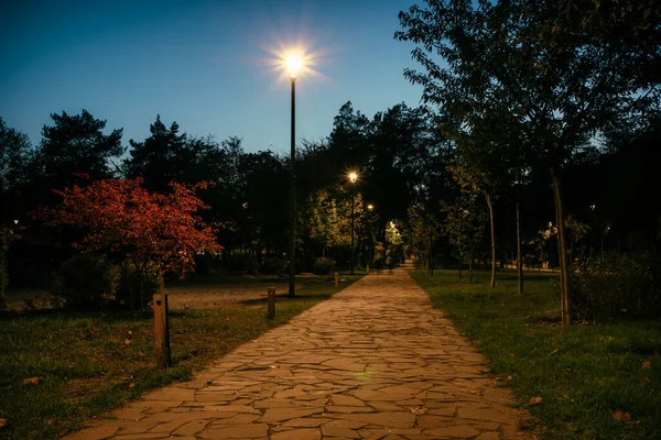 Camino Cola Con Hojas Amarillas Parque Nocturno Con Linternas Otoño —  Fotos de Stock