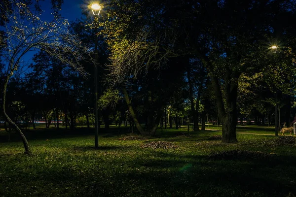 Staart Weg Met Gele Bladeren Het Nachtpark Met Lantaarns Herfst — Stockfoto