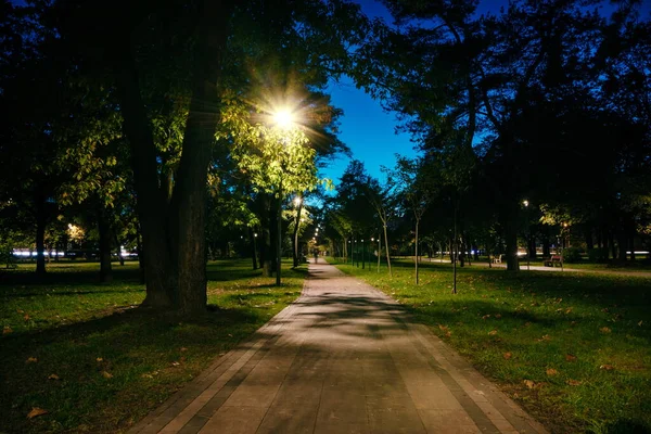 Éjszakai Parkban Sárga Levelekkel Tarkított Utakon Ősszel Lámpásokkal Este Padok — Stock Fotó