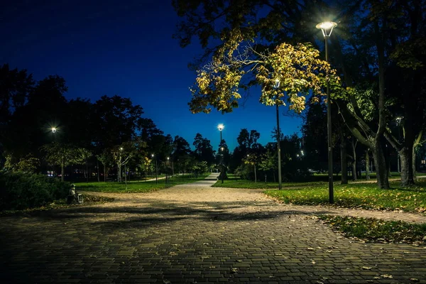 Хвостовая Лужайка Желтыми Листочками Ночном Парке Фонарями Осенью Скамейки Парке — стоковое фото