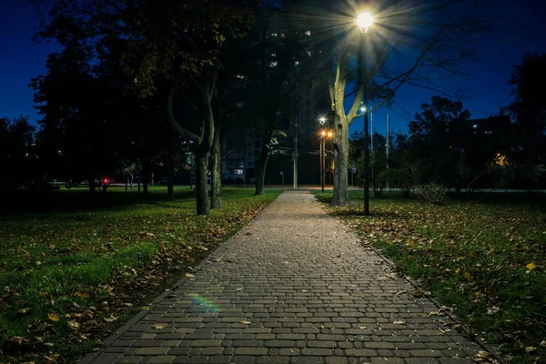 黄叶的尾草落在有灯笼的夜园里 秋天的夜晚 公园里的长椅 夜晚点着灯笼的公园路上的灯光 京都公园 — 图库照片