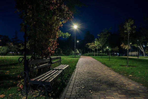 Éjszakai Parkban Ősszel Sárgás Levelekkel Tarkított Hátsó Pázsit Lámpákkal Este — Stock Fotó