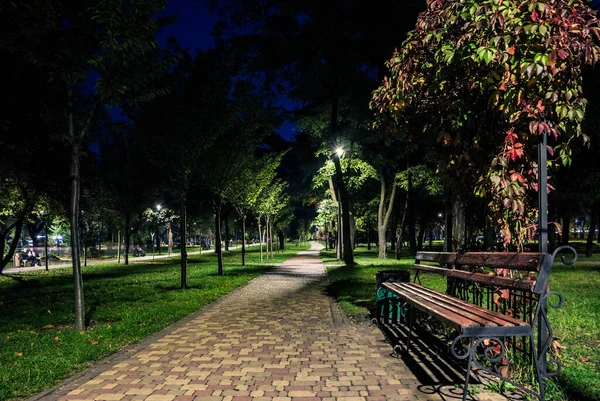 Der Abgeschnittene Rasen Mit Den Gelben Blättern Nachtpark Mit Laternen — Stockfoto