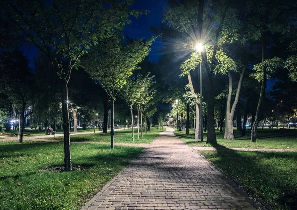 Die Schmale Straße Mit Den Gelben Blättern Nächtlichen Park Mit — Stockfoto