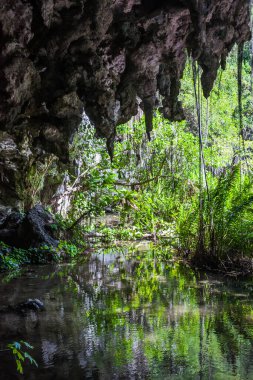 Ormandaki su mağarasından dağlarla çevrili küçük bir göle çıkın. Güzel tropikal doğa. Tropiklerdeki suya erişimi olan bir mağara..