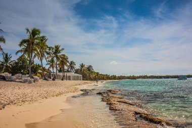 Bir sürü palmiyesi ve beyaz kumu olan Karayip plajı, Dominik Cumhuriyeti. Denizde, palmiye ağaçlarının altında güneşli bir gün. Palmiye ağaçlarının altında güneşlenirler