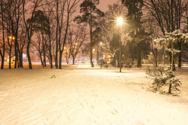 Kar, gece parkındaki yolları kışın fenerlerle kapladı. Geceleri kış mevsiminde parktaki banklar. Geceleri fenerlerle dolu bir parkın aydınlanması. Ağaçlarda kar. Park Kyoto