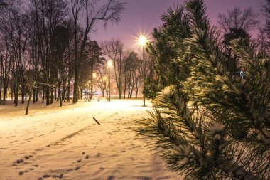 Kar, gece parkındaki yolları kışın fenerlerle kapladı. Geceleri kış mevsiminde parktaki banklar. Geceleri fenerlerle dolu bir parkın aydınlanması. Ağaçlarda kar. Park Kyoto