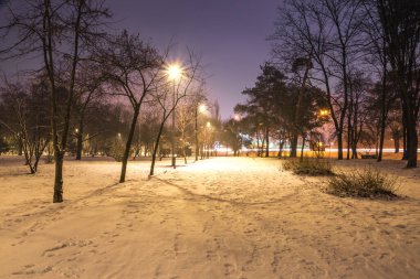 Kar, gece parkındaki yolları kışın fenerlerle kapladı. Geceleri kış mevsiminde parktaki banklar. Geceleri fenerlerle dolu bir parkın aydınlanması. Ağaçlarda kar. Park Kyoto