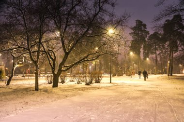 Kar, gece parkındaki yolları kışın fenerlerle kapladı. Geceleri kış mevsiminde parktaki banklar. Geceleri fenerlerle dolu bir parkın aydınlanması. Ağaçlarda kar. Park Kyoto