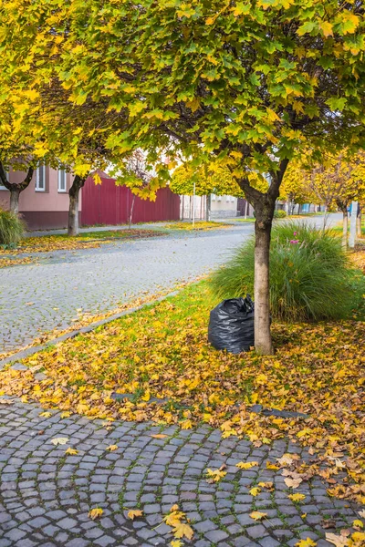 Estrada Pavimento Uma Pequena Cidade Acolhedora Outono Dia Ensolarado Folhas — Fotografia de Stock