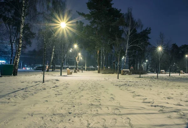Snow Covered Roads Night Park Lanterns Winter Benches Park Winter — Stock Photo, Image