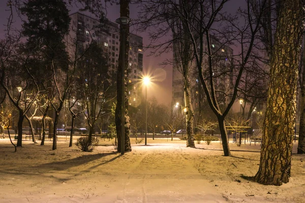 Routes Enneigées Dans Parc Nuit Avec Des Lanternes Hiver Bancs — Photo