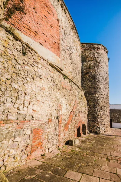 Partie Bastion Ancien Château Fortification Puissante Milieu Château Hauts Murs — Photo