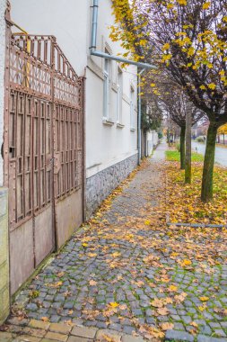 Sonbaharda bulutlu bir günde küçük bir kasabada Pavement Yolu. Sonbaharda sarı yapraklar ve ağaçlar. Güzel eski evleri ve kaldırım taşları olan küçük bir kasabada resmedilmiş bir Avrupa caddesi. Mukachevo. Ukrayna.