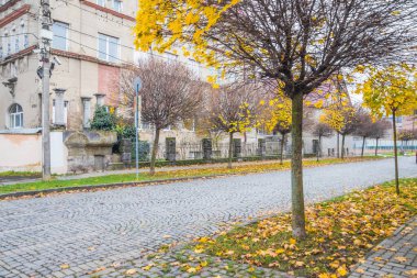 Sonbaharda bulutlu bir günde küçük bir kasabada Pavement Yolu. Sonbaharda sarı yapraklar ve ağaçlar. Güzel eski evleri ve kaldırım taşları olan küçük bir kasabada resmedilmiş bir Avrupa caddesi. Mukachevo. Ukrayna.