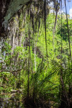 Exit from the water cave in the jungle to a small lake surrounded by mountains. Beautiful tropical nature. Observation platform under the vaults of the cave