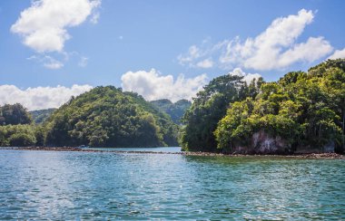 Denize düşen ve yeşil çalılarla kaplanmış Rocky plajı. Tropikal bölgelerde kayalar olan aşırı gelişmiş kıyı şeridi. Mavi okyanus. Dominik Cumhuriyeti