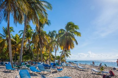 Dominik Cumhuriyeti. 20 Kasım 2021 'de. Bir sürü palmiyesi, beyaz kumsalı ve güneşli yatakları olan Karayip sahilleri. Denizde, palmiye ağaçlarının altında güneşli bir gün. Palmiye ağaçlarının altında güneşlenirler