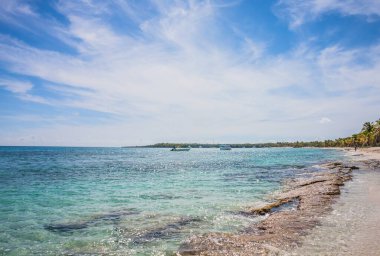 Bir sürü palmiyesi ve beyaz kumu olan Karayip plajı, Dominik Cumhuriyeti. Denizde, palmiye ağaçlarının altında güneşli bir gün. Palmiye ağaçlarının altında güneşlenirler