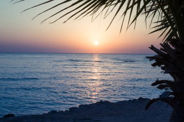 Denizde güzel bir gün doğumu. Kızıl Deniz 'de şafak vakti. Güneş, denize yansıyor. Doğan güneşin arka planında palmiye ağaçları ve palmiye yaprakları. Tropik gün doğumu