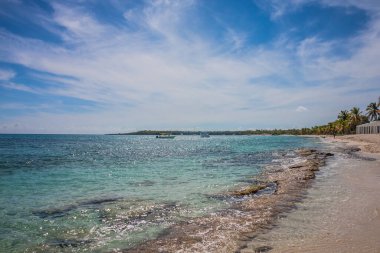 Bir sürü palmiyesi ve beyaz kumu olan Karayip plajı, Dominik Cumhuriyeti. Denizde, palmiye ağaçlarının altında güneşli bir gün. Palmiye ağaçlarının altında güneşlenirler