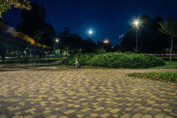 Gramado Cauda Com Folhas Amarelas Parque Noturno Com Lanternas Outono — Fotografia de Stock