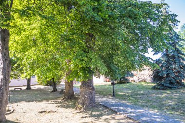 Uzhgorod kalesinin bölgesindeki park ve yollar. Antik Uzhgorod şatosunun önünde yeşil bir çimenlik olan Ortaçağ Gri Kale duvarı. Uzhgorod Kalesi, Zakarpattya Bölgesi, Batı Ukrayna